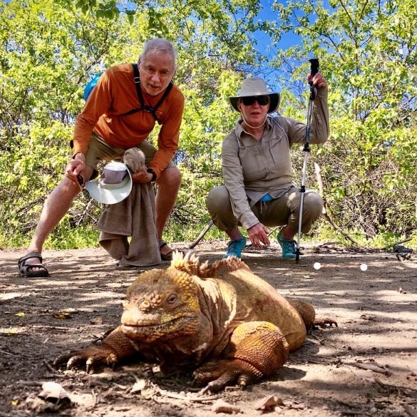 Jim and Mary Froula look at land iguana on the Galapagos Islands