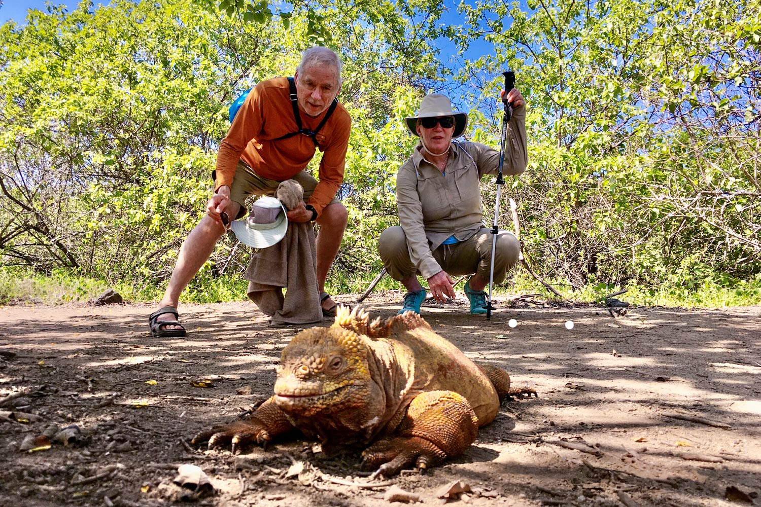 Jim and Mary Froula look at land iguana on the Galapagos Islands
