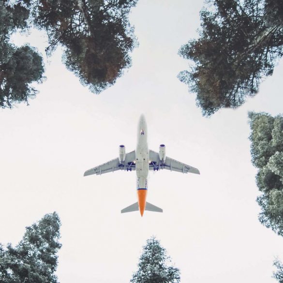 Plane Seen Flying Through Trees