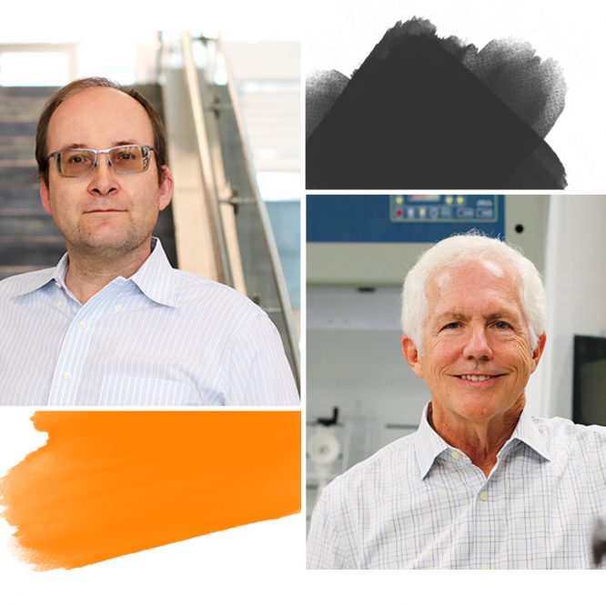 Sergei Kalinin and Chuck Melcher