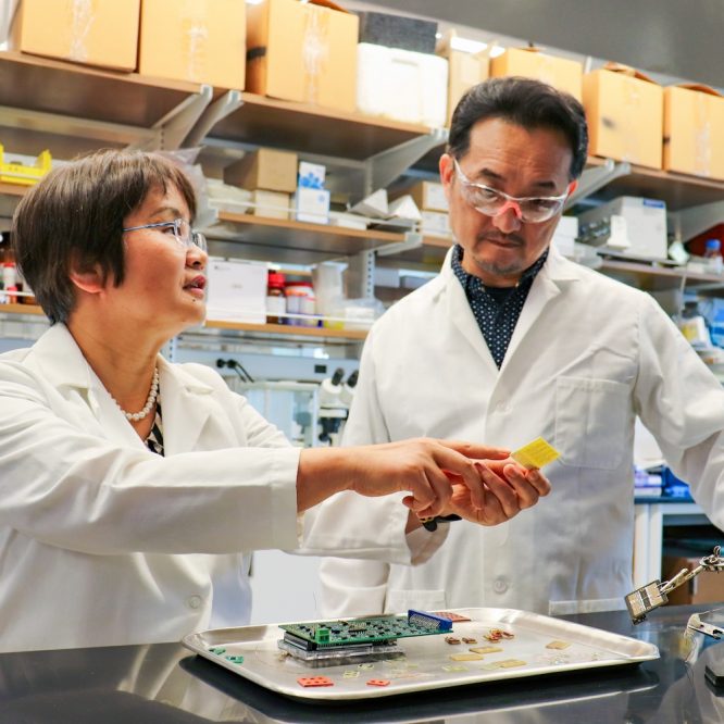 Jayne Wu and Shigetoshi Eda in a lab
