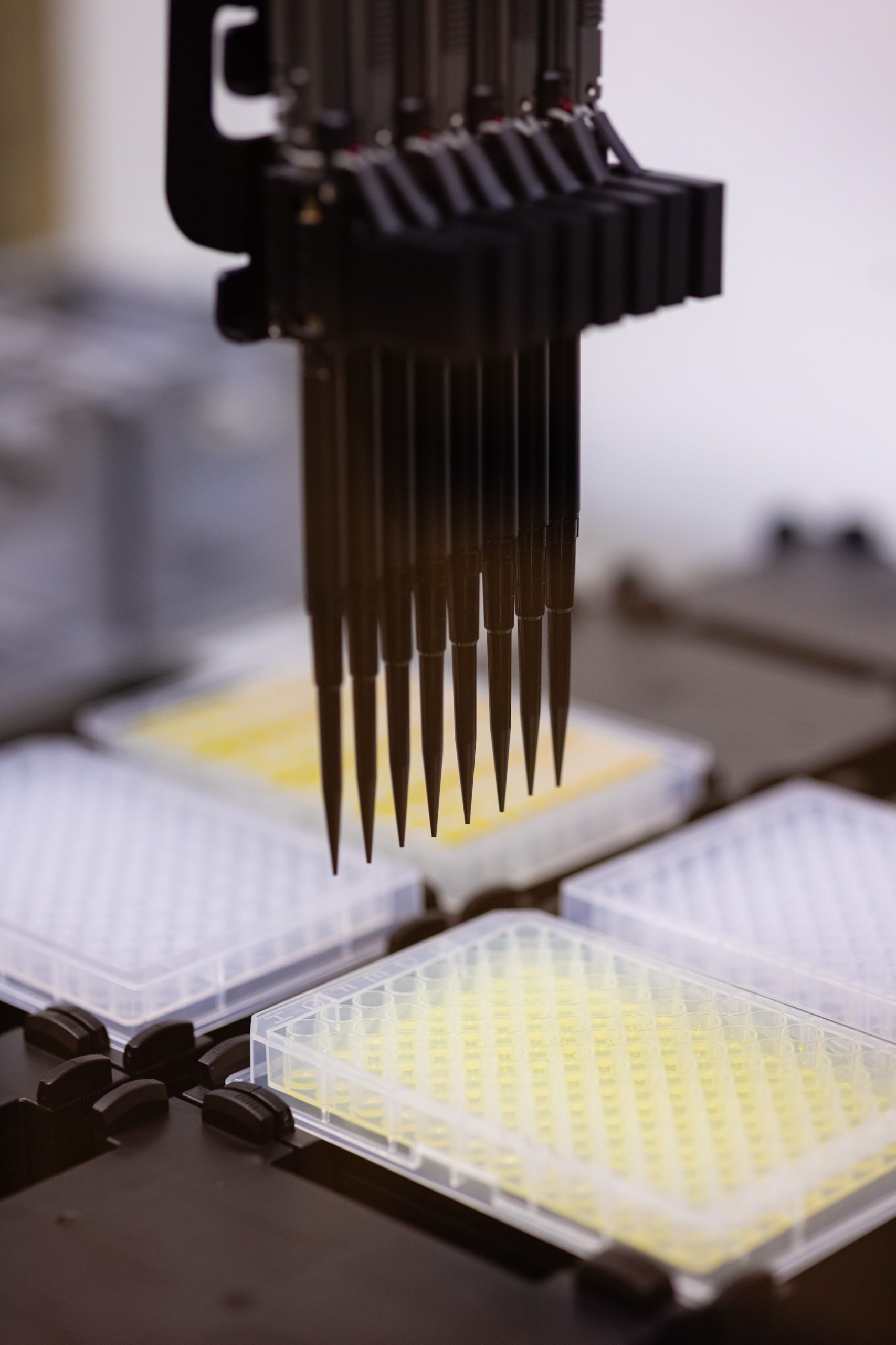 Air displacement pipetting arm hovers over a clear grid of small tubes