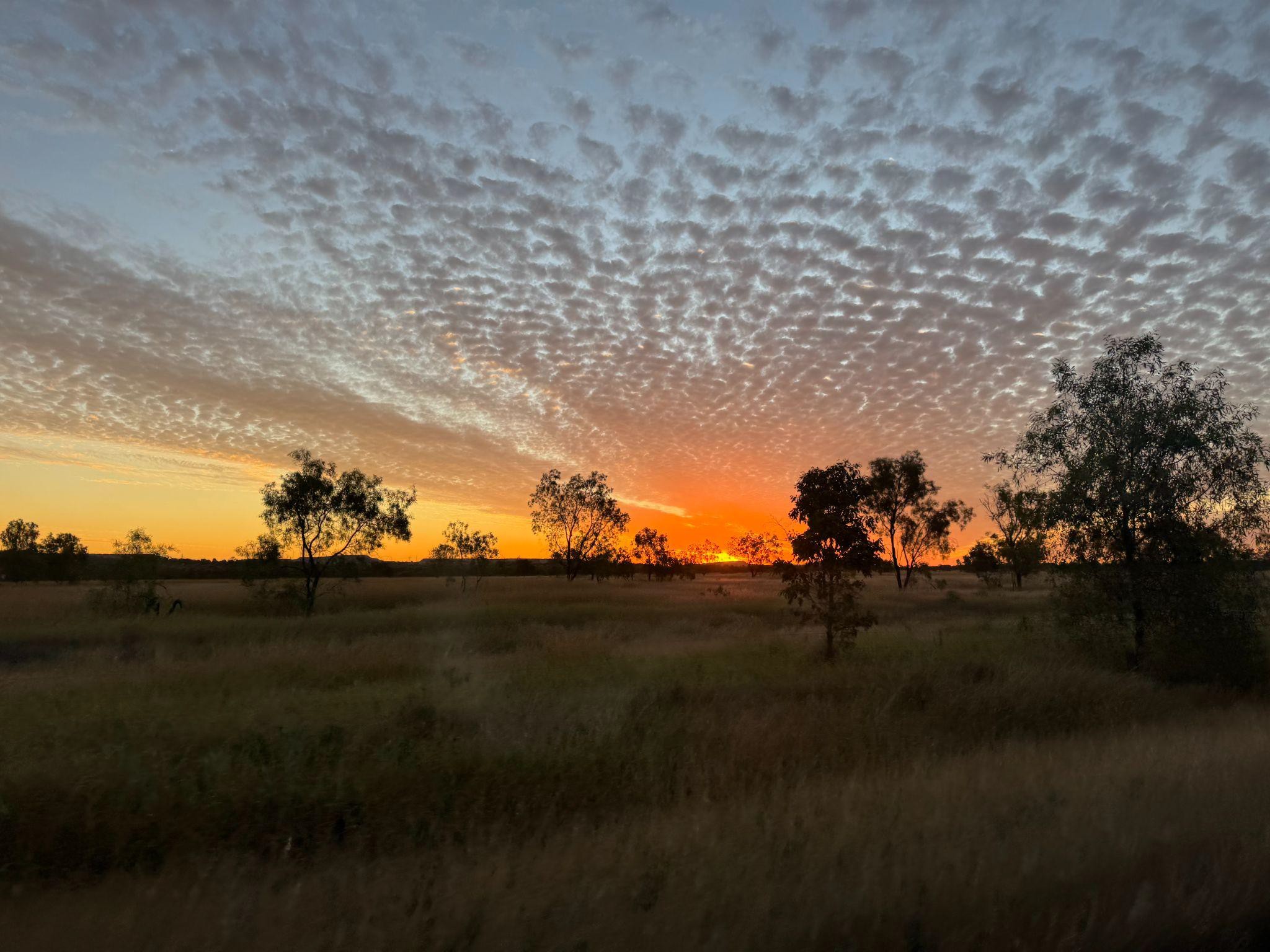 Colorful sunset over a field with sparse trees