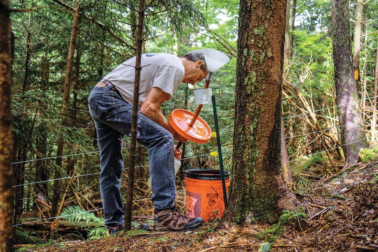 John Schwartz Collects Samples