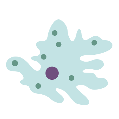Amoeba Microbe