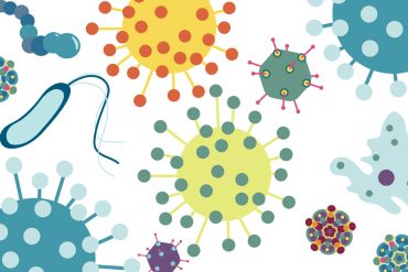 Microbe Illustration