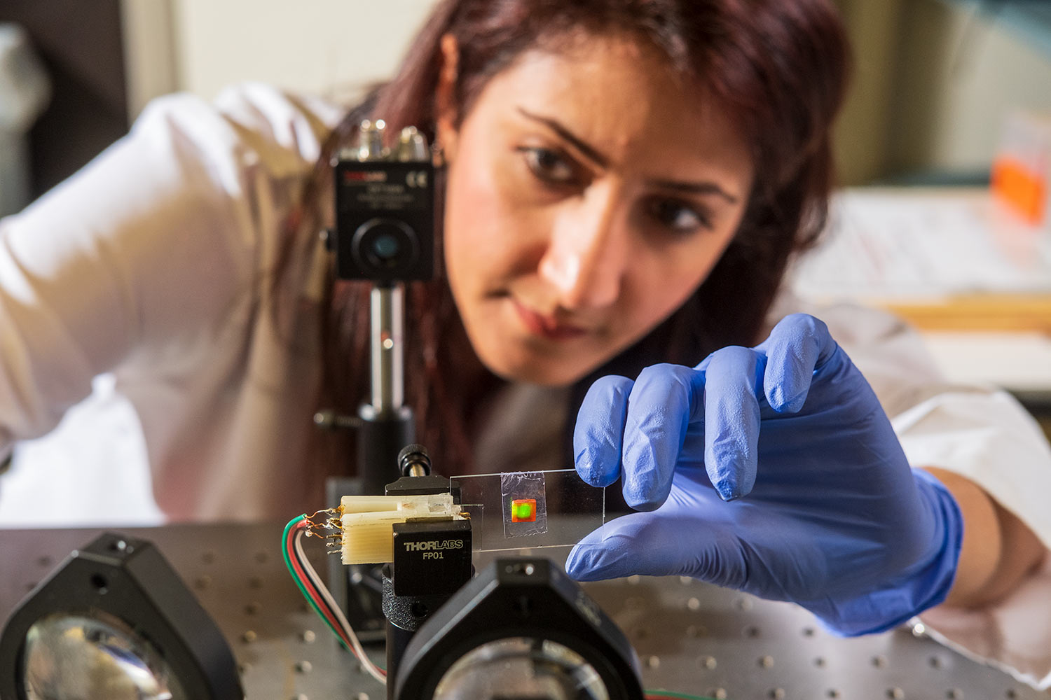 Mahshid Ahmadi working with Microscope