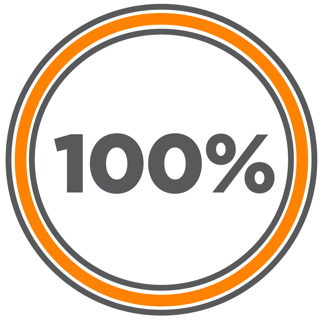100% Icon