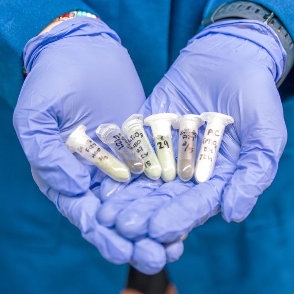 MSE Student Holding Samples