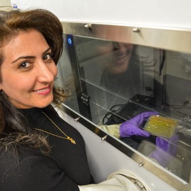 Assistant Professor for Materials Science and Engineering Mahshid Ahmadi