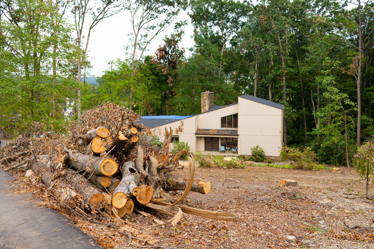 Cut up tree that fell on Terry Hazen's house.